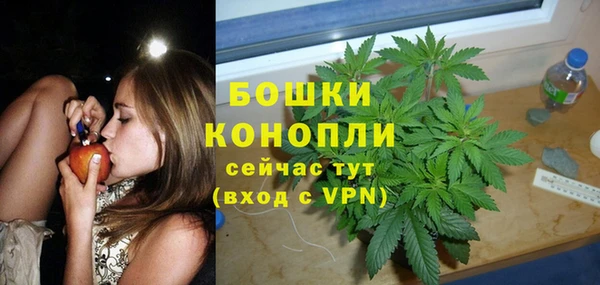 дживик Баксан