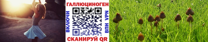 купить закладку  Омутнинск  Галлюциногенные грибы мухоморы 
